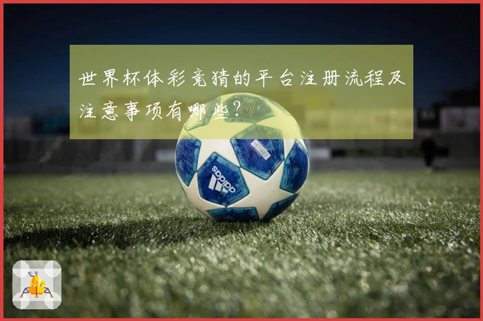 世界杯体彩竞猜的平台注册流程及注意事项有哪些？