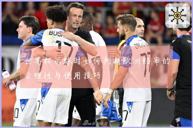 世界杯买球时如何判断欧洲赔率的合理性与使用技巧