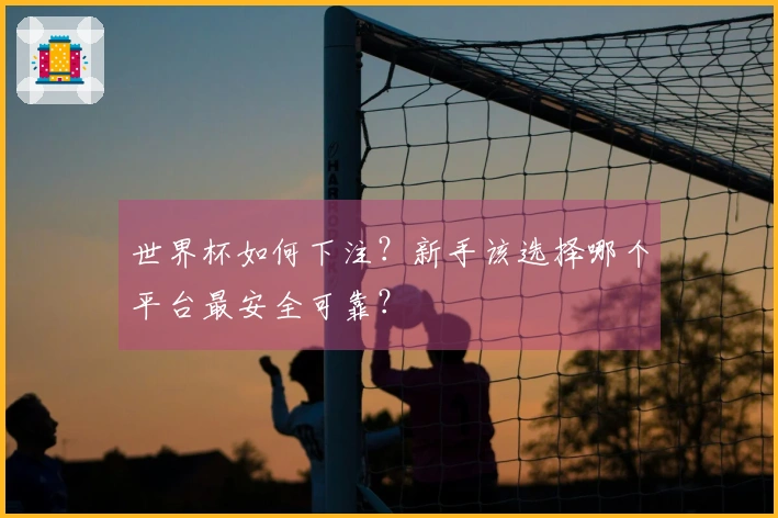 世界杯如何下注？新手该选择哪个平台最安全可靠？