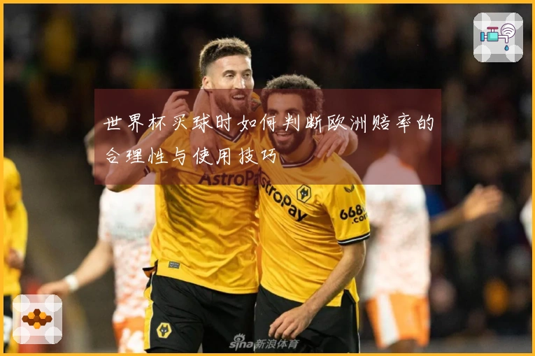 世界杯买球时如何判断欧洲赔率的合理性与使用技巧