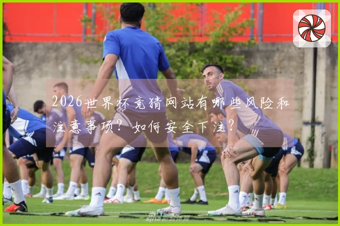 2026世界杯竞猜网站有哪些风险和注意事项？如何安全下注？