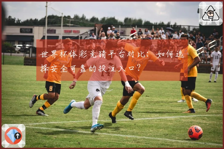 世界杯体彩竞猜平台对比：如何选择安全可靠的投注入口？