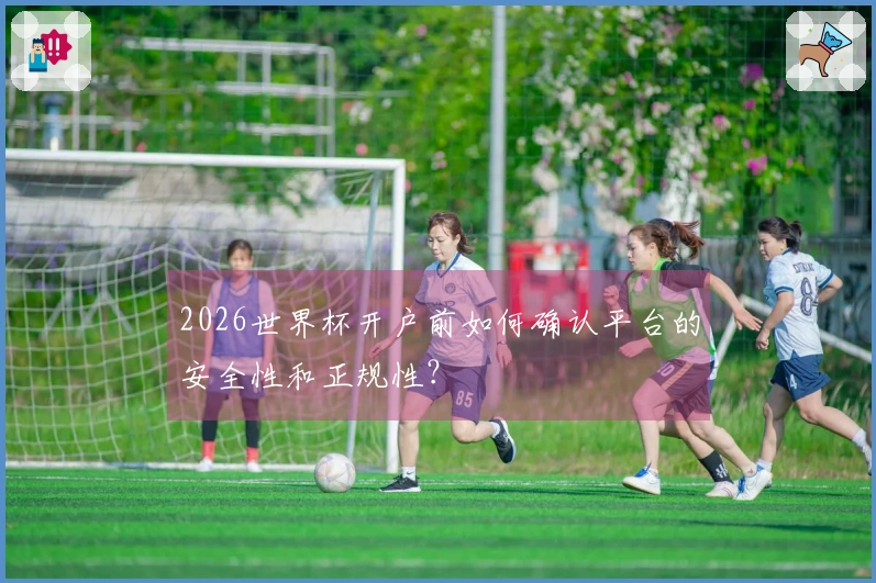 2026世界杯开户前如何确认平台的安全性和正规性？