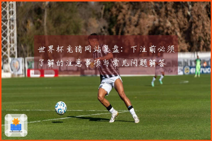 世界杯竞猜网站复盘：下注前必须了解的注意事项与常见问题解答