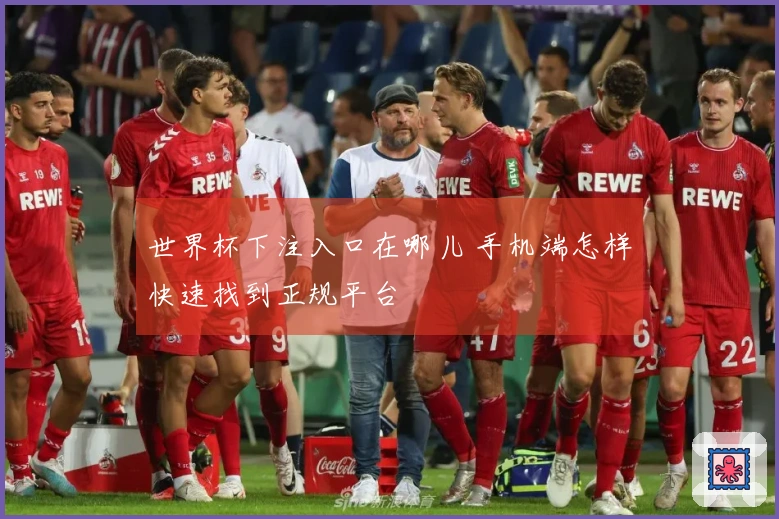 世界杯下注入口在哪儿 手机端怎样快速找到正规平台
