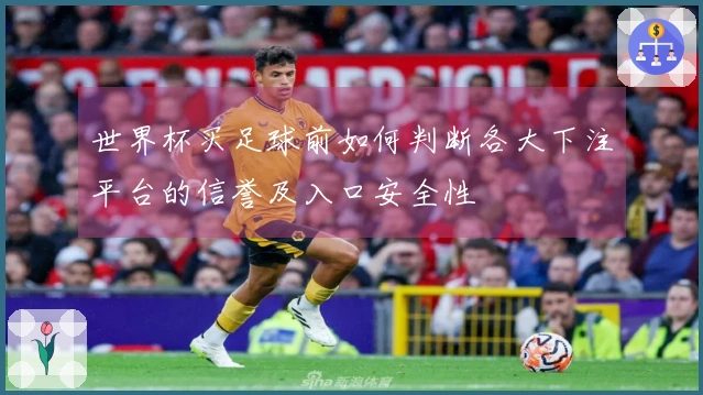 世界杯买足球前如何判断各大下注平台的信誉及入口安全性