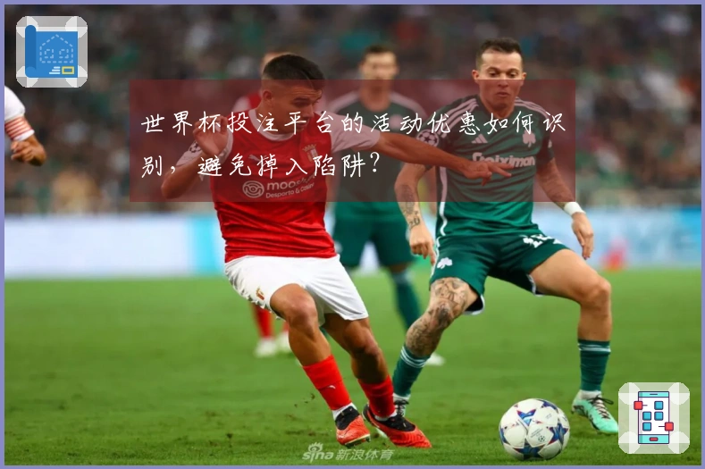 世界杯投注平台的活动优惠如何识别，避免掉入陷阱？