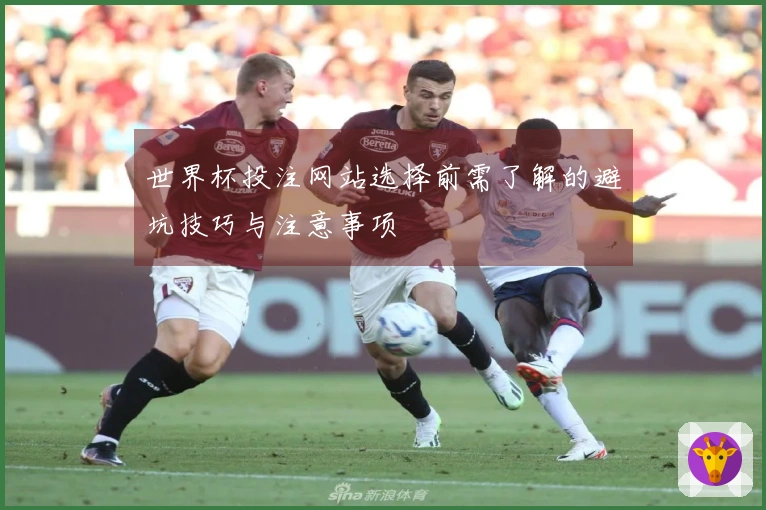 世界杯投注网站选择前需了解的避坑技巧与注意事项