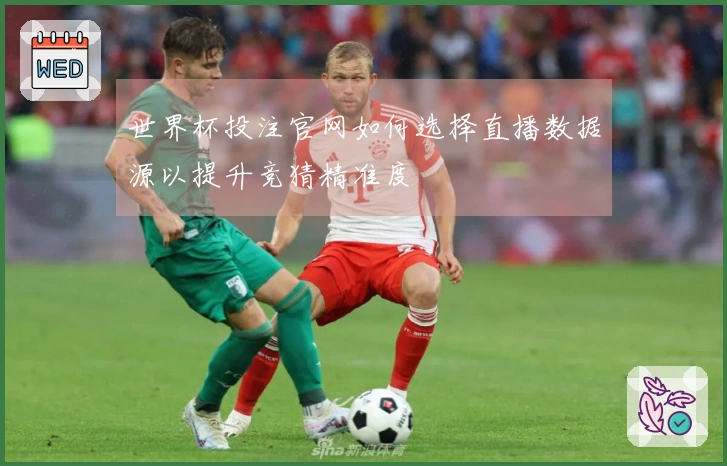世界杯投注官网如何选择直播数据源以提升竞猜精准度