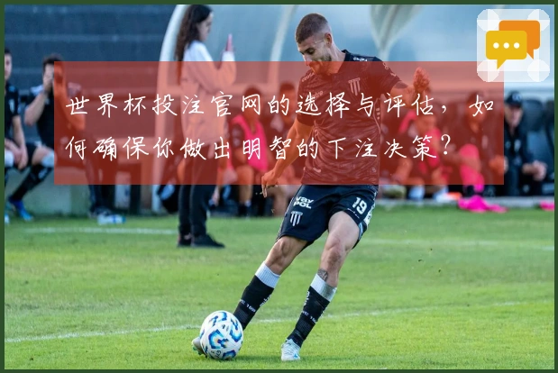 世界杯投注官网的选择与评估，如何确保你做出明智的下注决策？