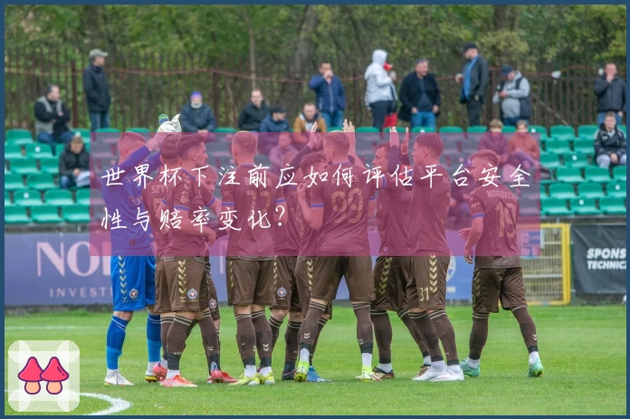 世界杯下注前应如何评估平台安全性与赔率变化？