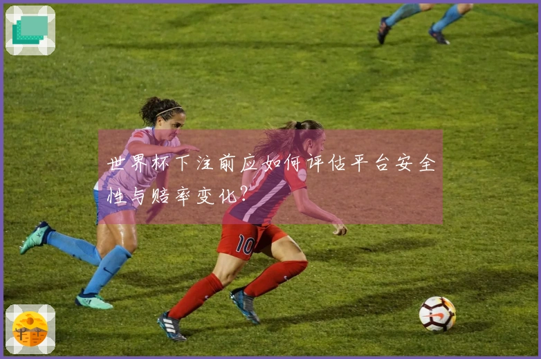 世界杯下注前应如何评估平台安全性与赔率变化？