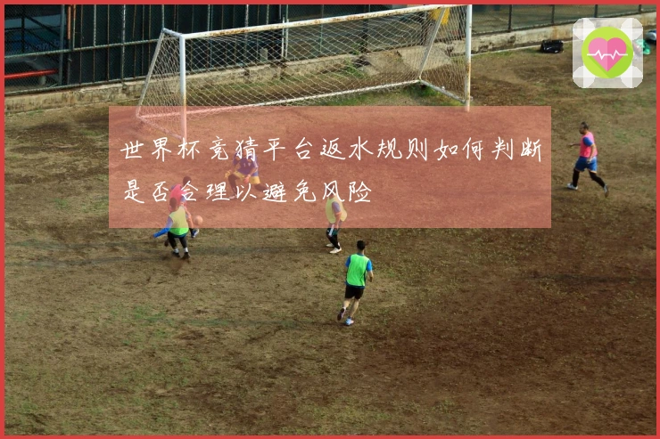 世界杯竞猜平台返水规则如何判断是否合理以避免风险