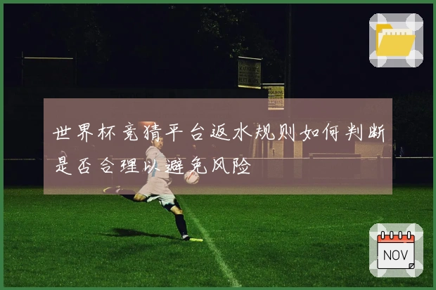世界杯竞猜平台返水规则如何判断是否合理以避免风险